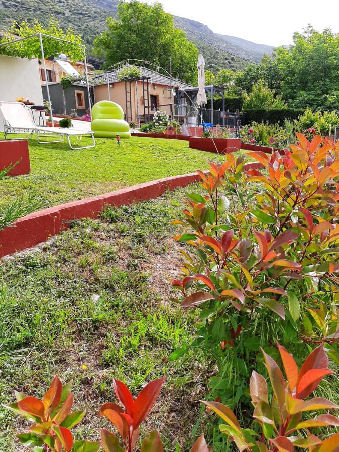 Valena'S House Apartment Ioannina Ngoại thất bức ảnh