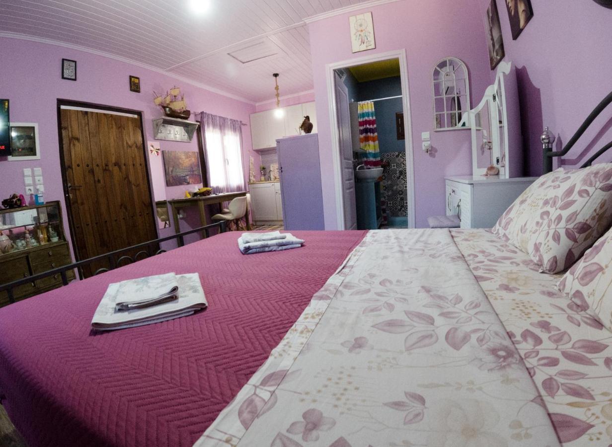 Valena'S House Apartment Ioannina Ngoại thất bức ảnh
