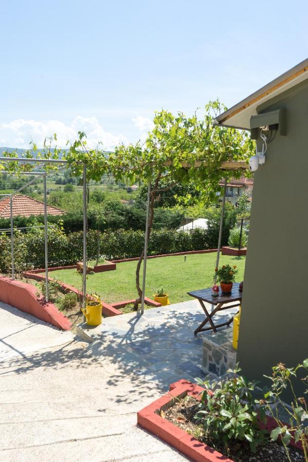 Valena'S House Apartment Ioannina Ngoại thất bức ảnh