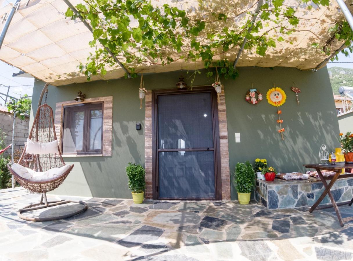 Valena'S House Apartment Ioannina Ngoại thất bức ảnh