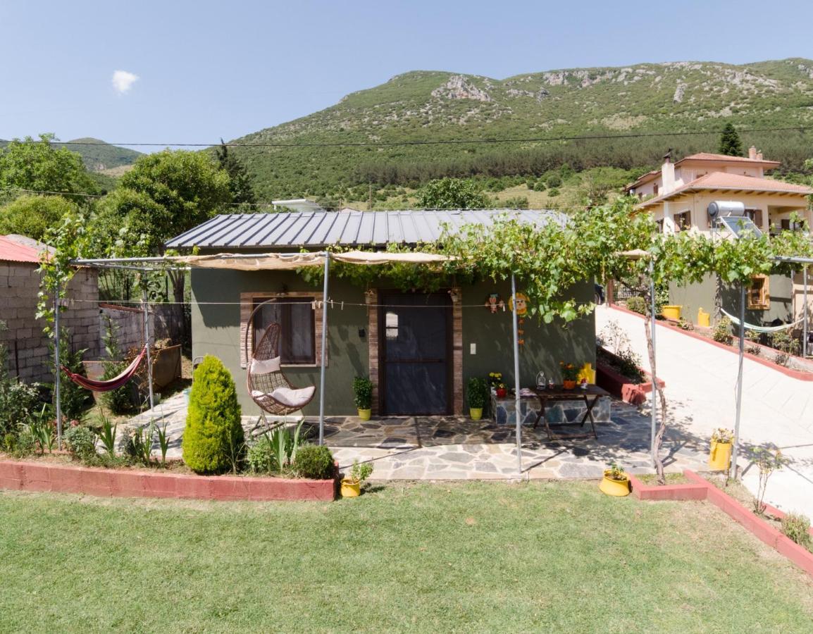 Valena'S House Apartment Ioannina Ngoại thất bức ảnh