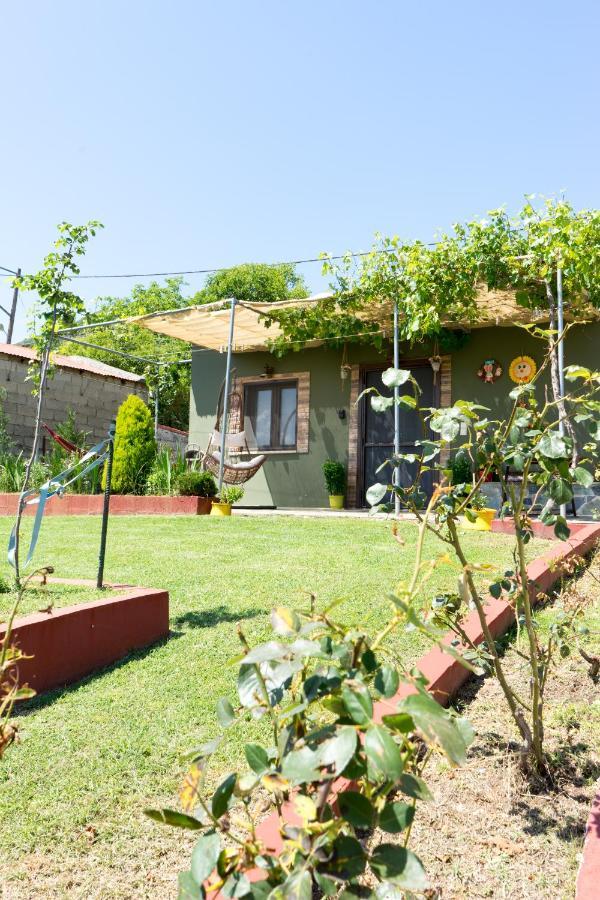 Valena'S House Apartment Ioannina Ngoại thất bức ảnh