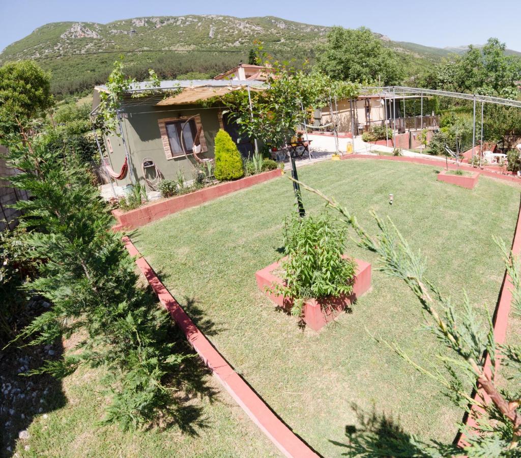 Valena'S House Apartment Ioannina Ngoại thất bức ảnh