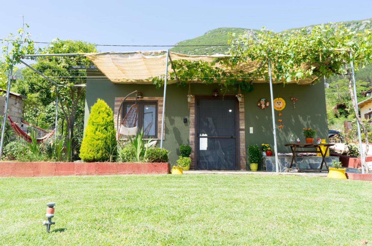 Valena'S House Apartment Ioannina Ngoại thất bức ảnh